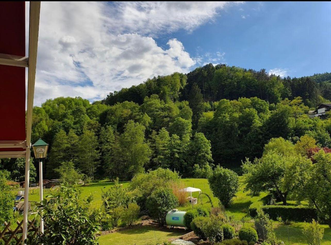 Landhotel Zur Wegelnburg Schönau 外观 照片